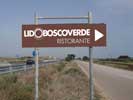 Descrizione immagine